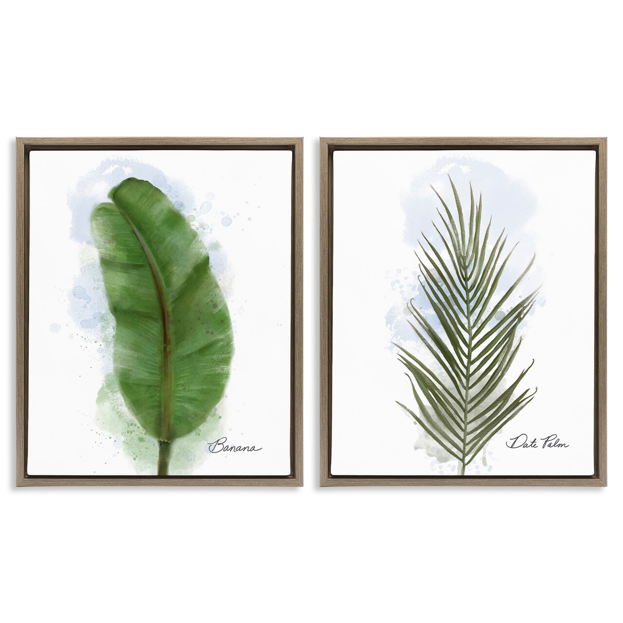 Stupell Industries Modern Fruit Leaves 2pc Floating Frame Set By Matthew Piotrowicz